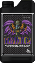 (Bild für) ADVANCED N. - Tarantula