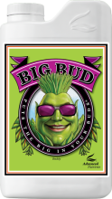 (Bild für) ADVANCED N. - Big Bud
