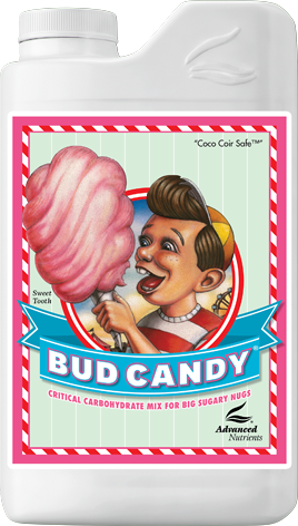 ADVANCED N. - Bud Candy