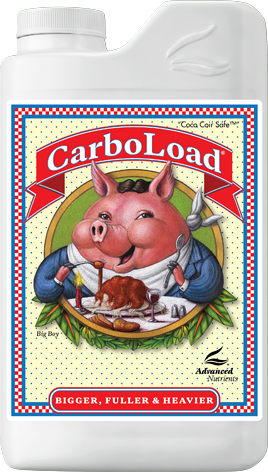 ADVANCED N. - Liquid Carbo Load
