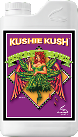 ADVANCED N. - Kushie Kush