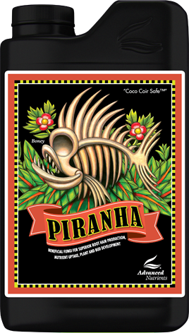 ADVANCED N. - Piranha