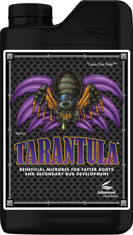 ADVANCED N. - Tarantula