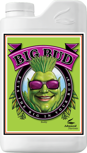 ADVANCED N. - Big Bud