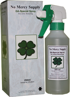 No Mercy - GA Spray -alle Größen-