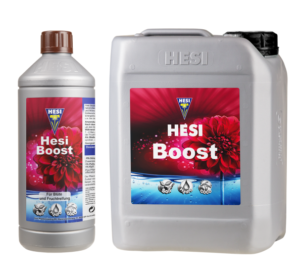 HESI Boost