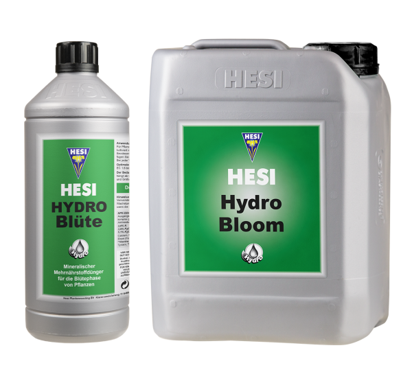 HESI Hydro Blüte