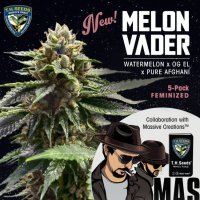 (Bild für) Melon Vader Feminised Seeds - 5+1