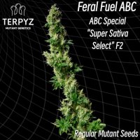 (Bild für) Feral Fuel ABC Regular Seeds