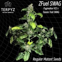 (Bild für) Zfuel Swag Regular Seeds
