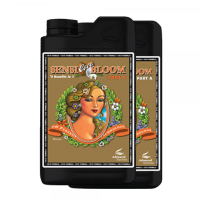 (Bild für) ADVANCED N. - Sensi Bloom Coco Grunddünger A&B