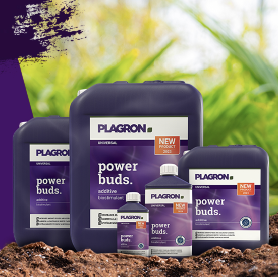 (Bild für) PLAGRON Power Buds