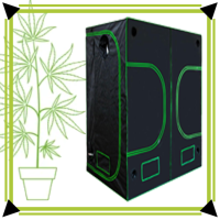 ab 3m²+ Fläche (Bild für) ab 3m²+ Fläche