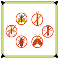 SCHÄDLINGE BEKÄMPFEN (Bild für) SCHÄDLINGE BEKÄMPFEN