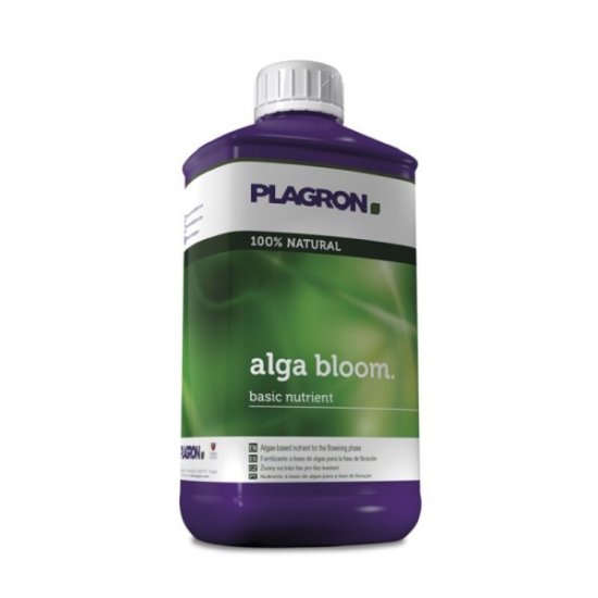 (Bild für) PLAGRON Alga Bloom - Blüte