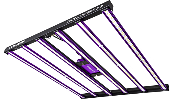 (Bild für) LUMATEK Zeus Compact Pro 600W LED