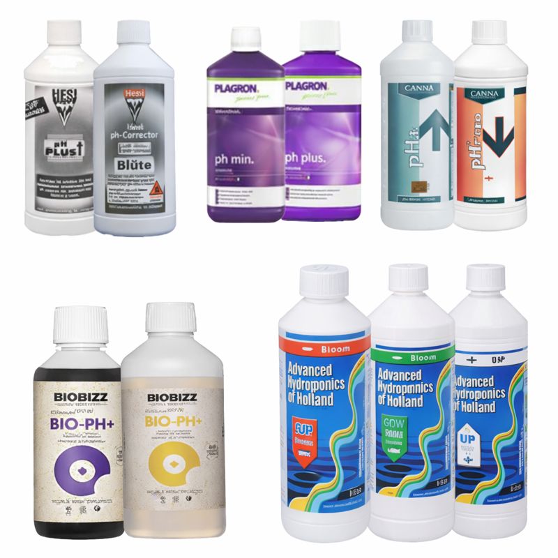 (Bild für) pH-Wert Regulierung