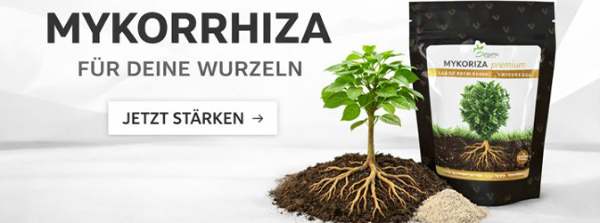 (Bild für) HOME_TILE_RIGHT