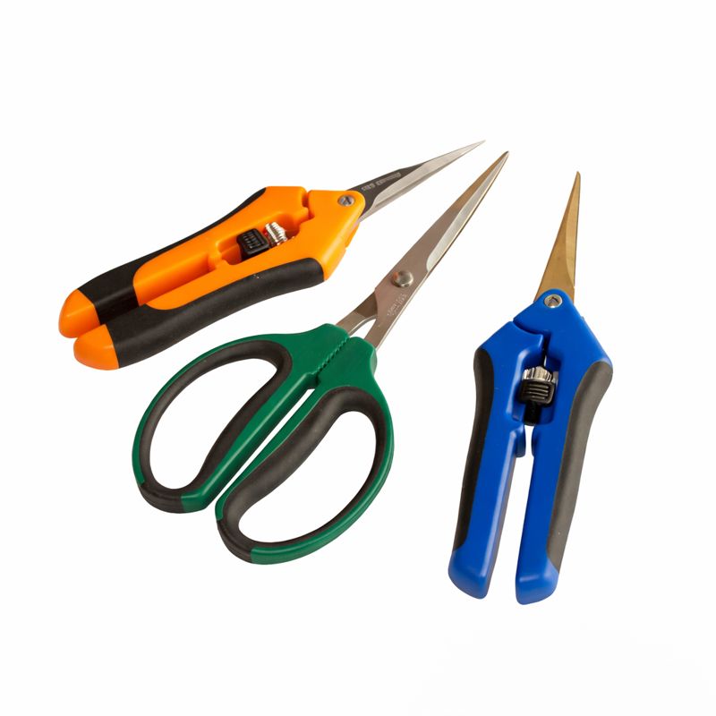 Ernte & Weiterverarbeitung (Bild für) Ernte & Weiterverarbeitung