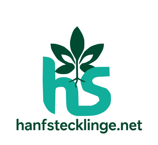 (Bild für) Hanfstecklinge.net – Frische Hanfstecklinge & Sämlinge